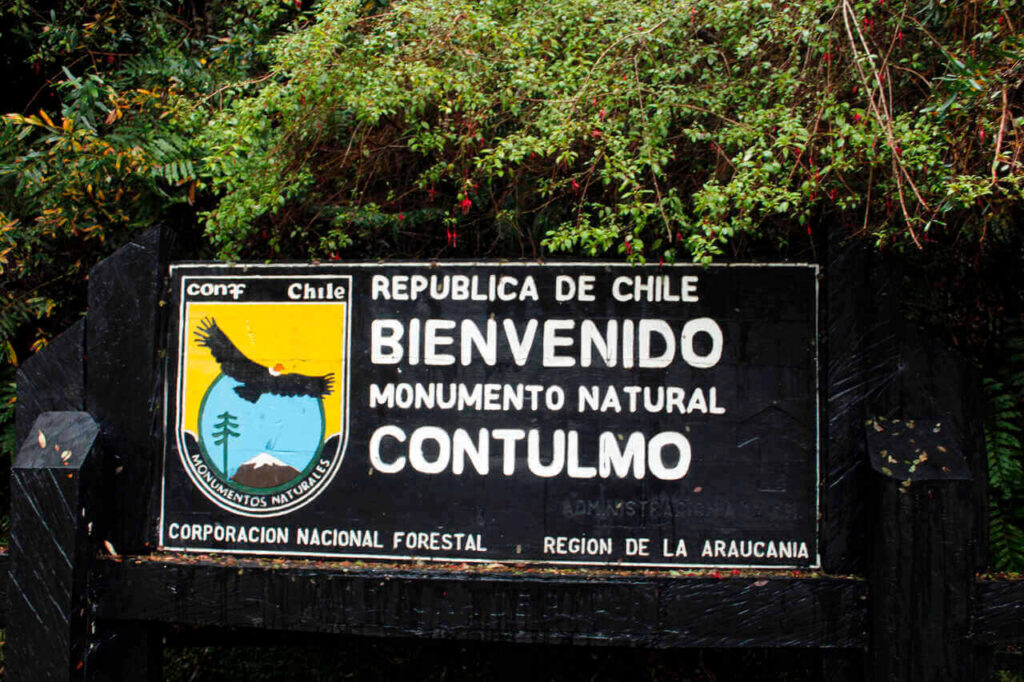 Contulmo