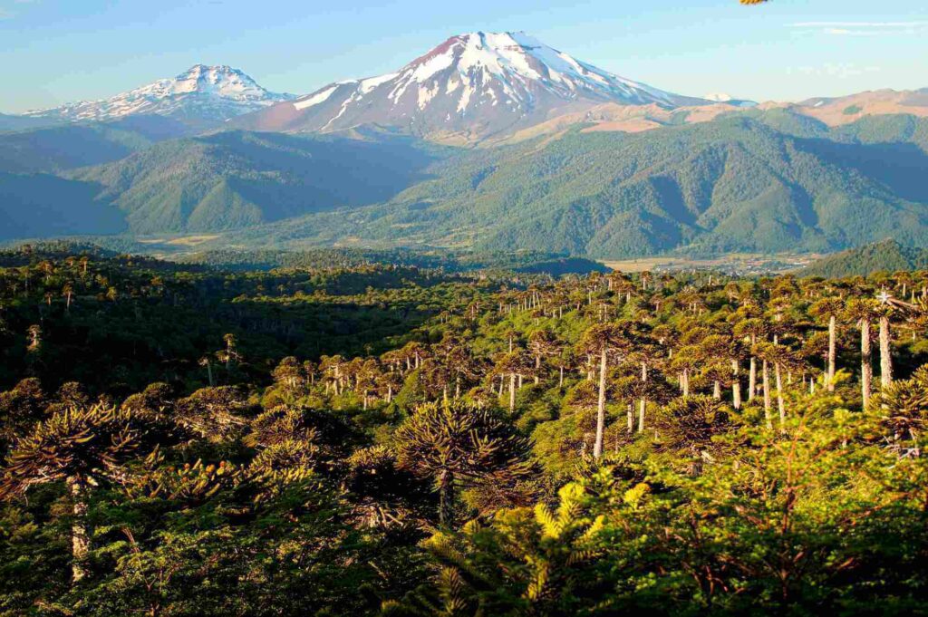 lonquimay