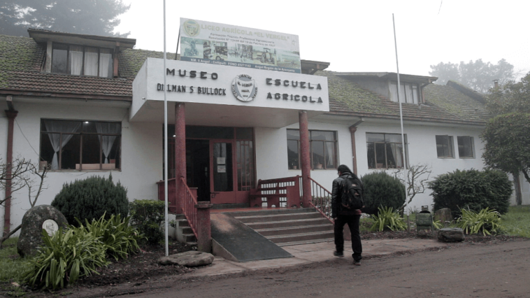 Museo Dillman Bullock