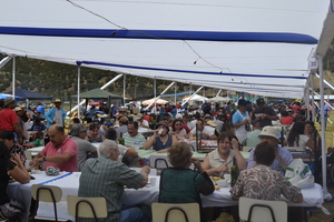 Asado de Chivo