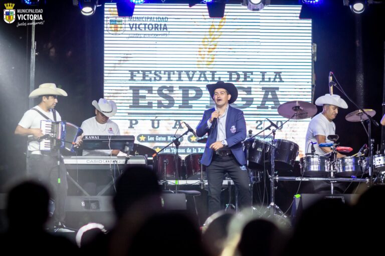 Festival de la Espiga