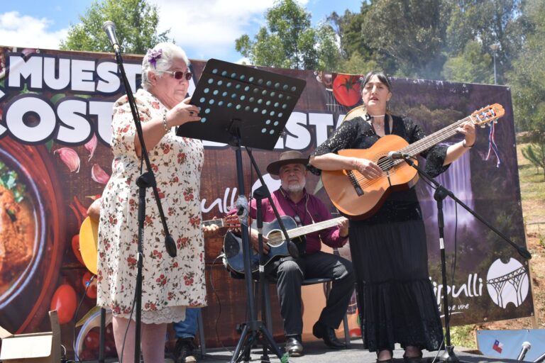Muestra costumbrista collipulli 2019 - 05