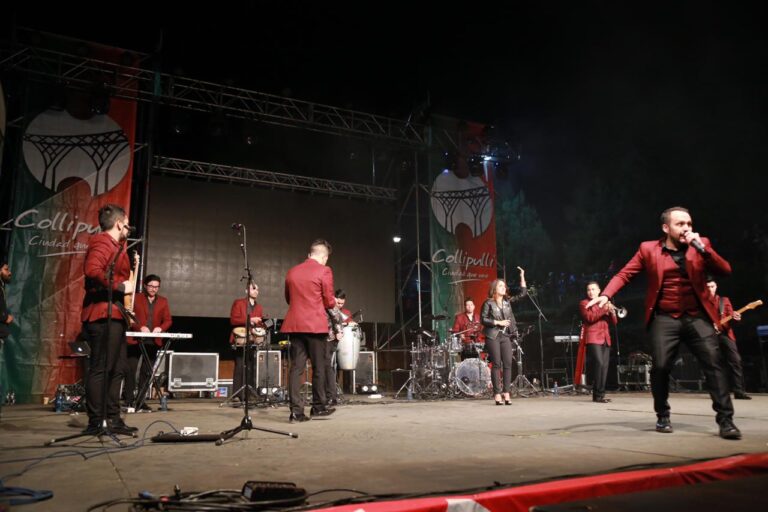 Muestra costumbrista collipulli 2019 - 1