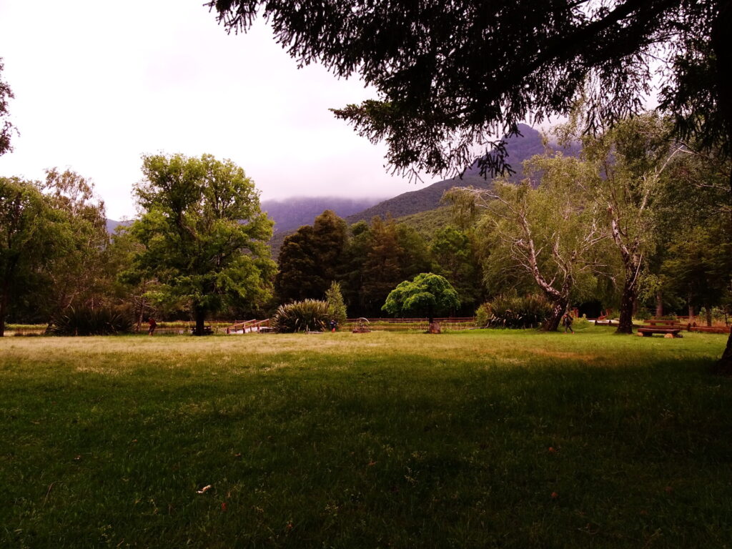 Reserva Malleco 001