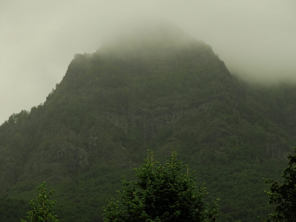 Reserva Malleco - Cerro Motrulo
