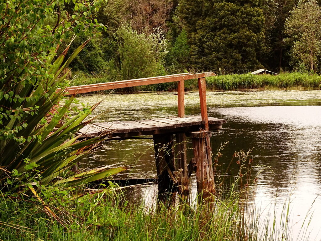 Reserva Malleco Laguna