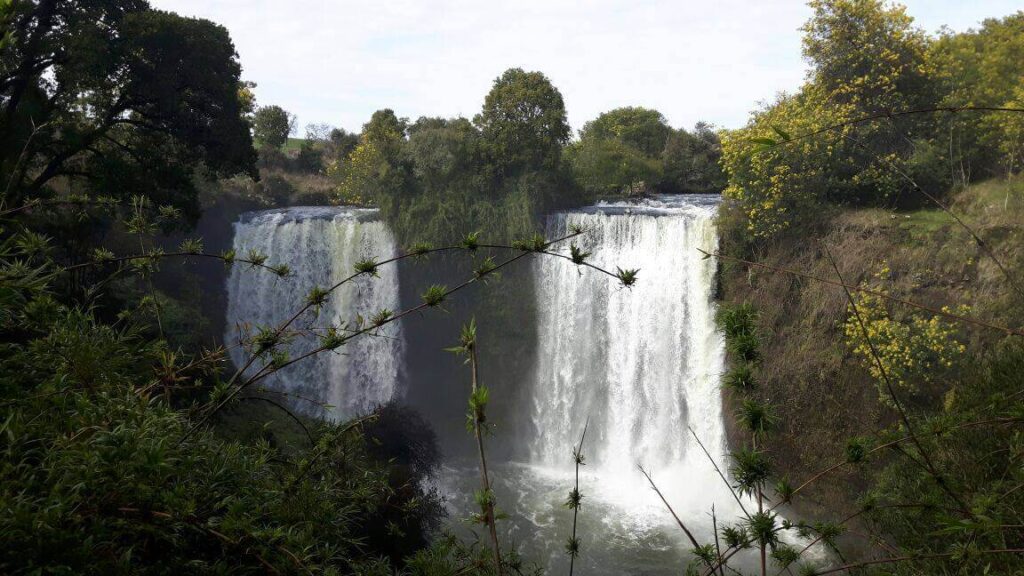Salto Quino