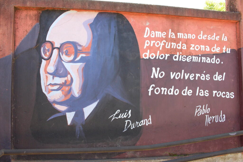 biblioteca (6)