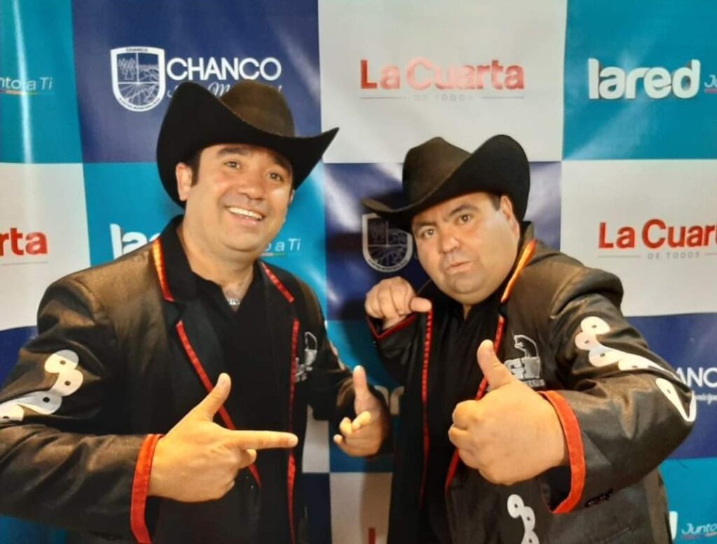 gatos negros