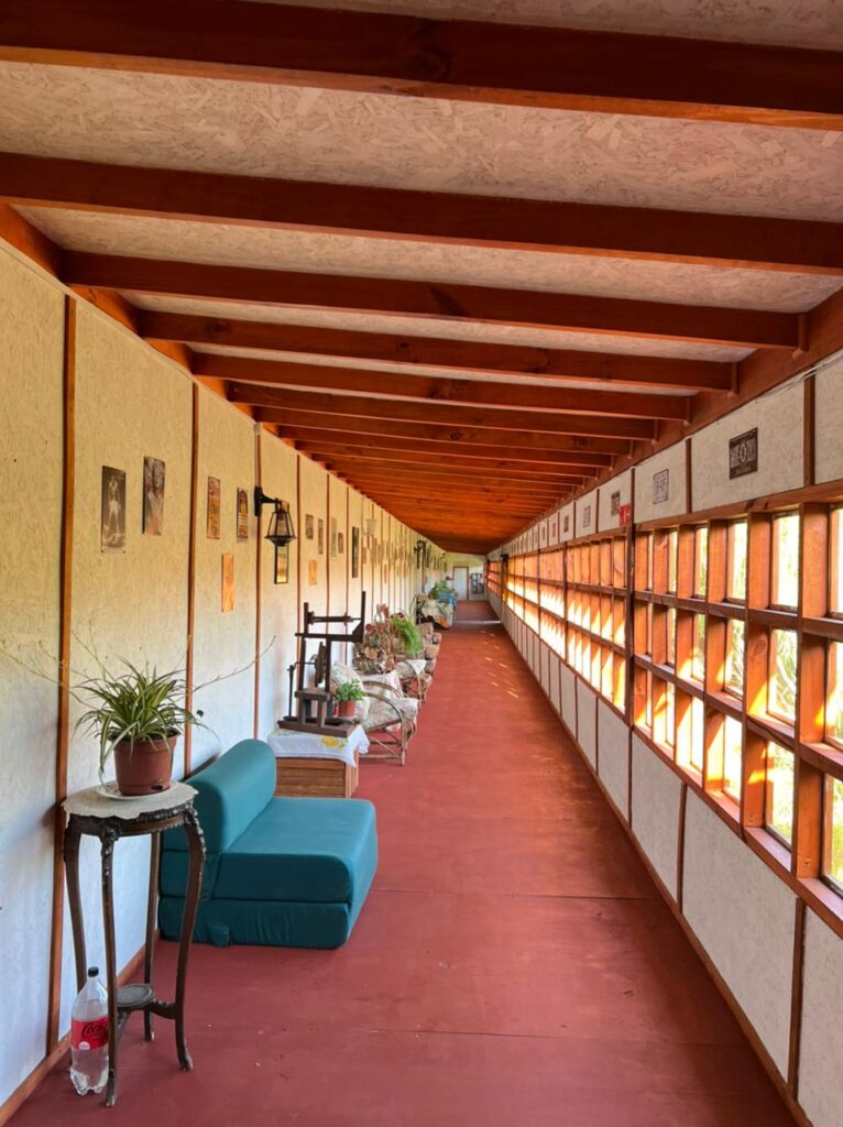 hospedaje los pinos (3)