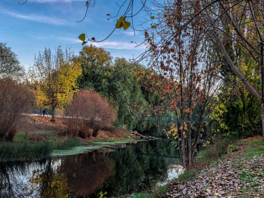 Paisaje de Otoño