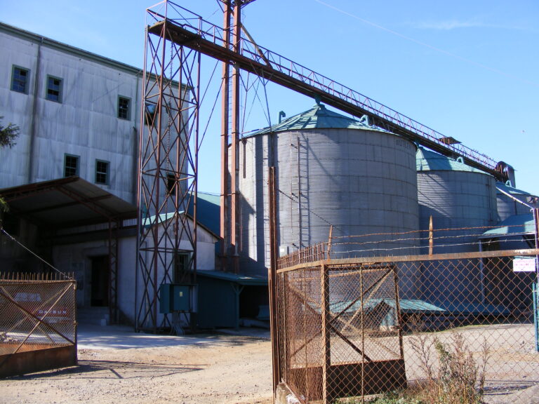 Molino traiguen