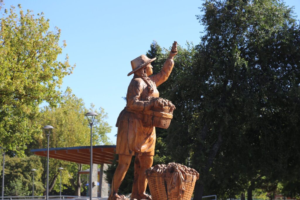 plaza tijeral