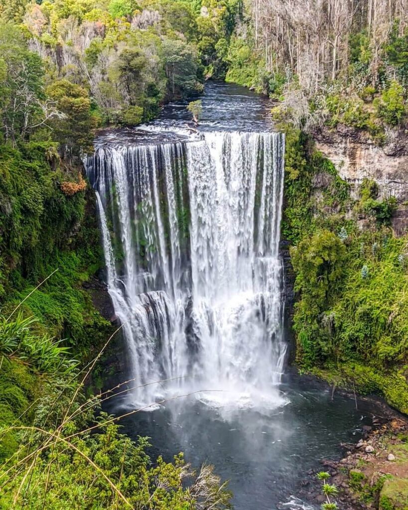 Salto Cachagua
