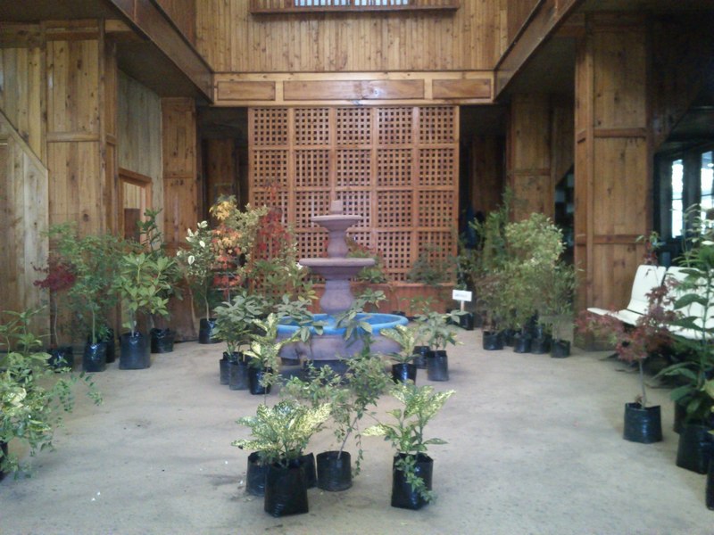 vergel003