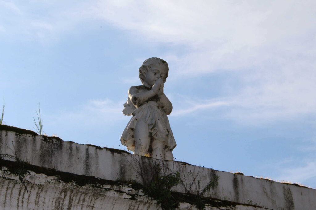 cementerio Traiguén 10