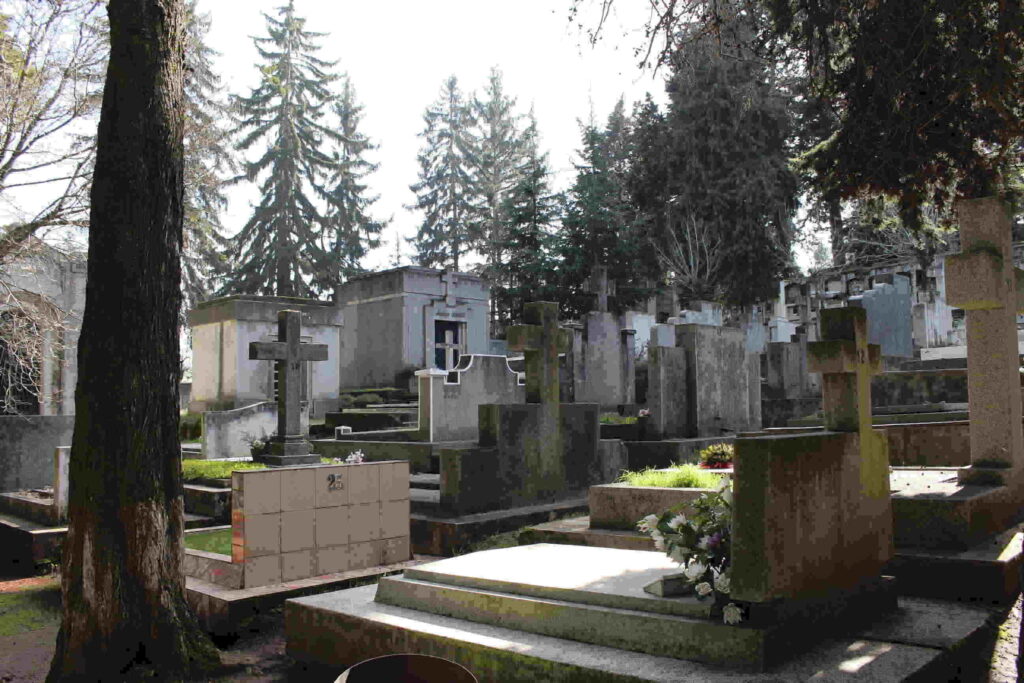 cementerio Traiguén 12