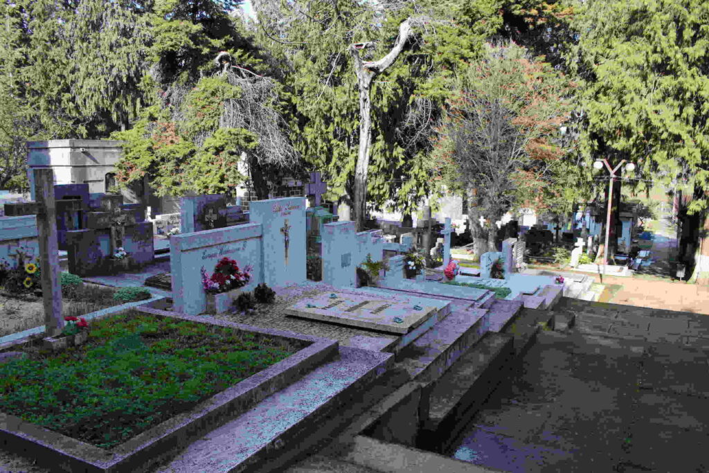 cementerio Traiguén 17
