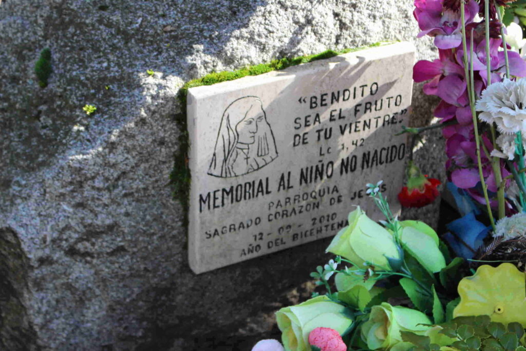 cementerio Traiguén 18