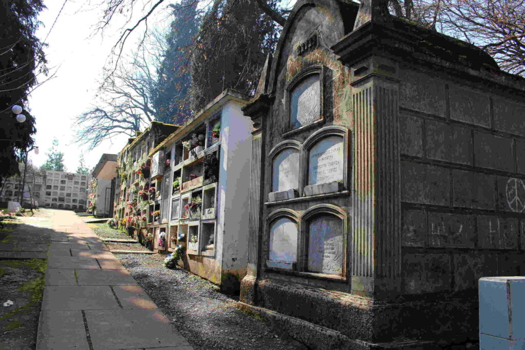cementerio Traiguén 20