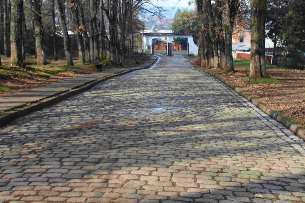 cementerio Traiguén 21