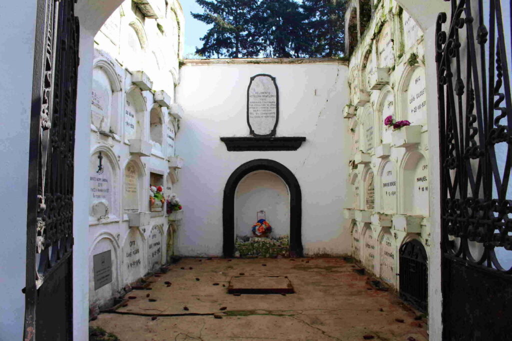 cementerio Traiguén 6