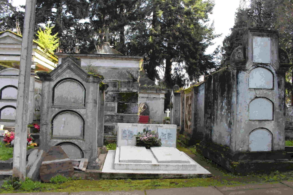 cementerio Traiguén 8
