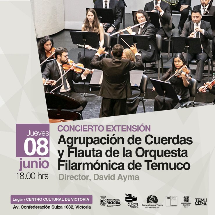 Concierto de cuerdas y flautas