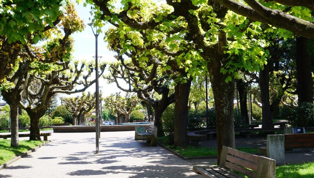Plaza-1JPG-2.jpg