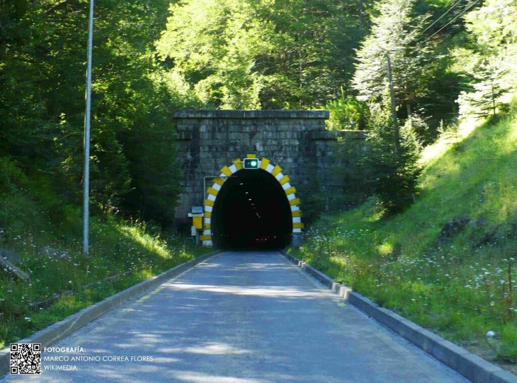 Tunel-las-raices-2-1.jpg