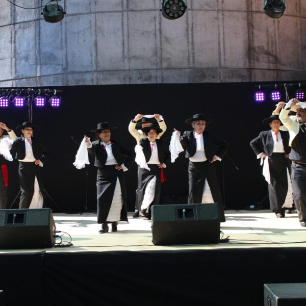 a mayor (3)